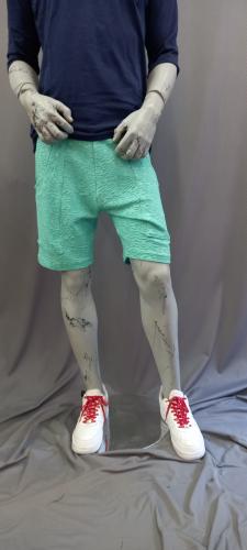 Birthday Cake Shorts